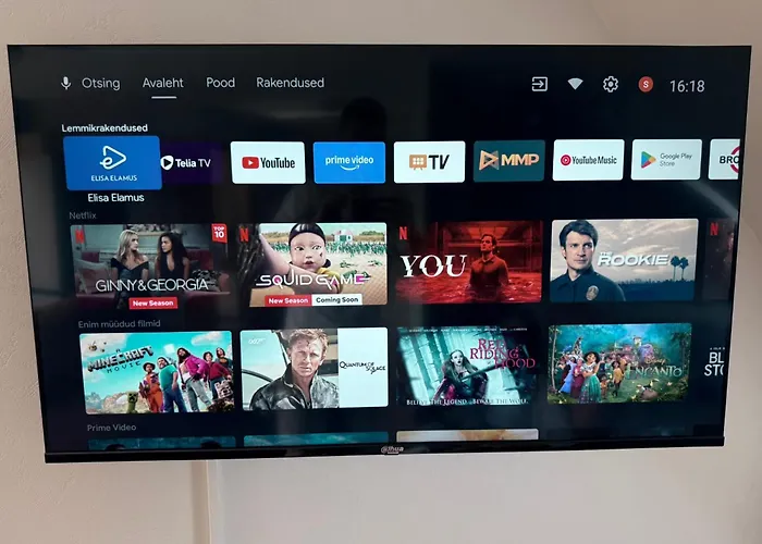 Anny's Downtown Apartament Valga